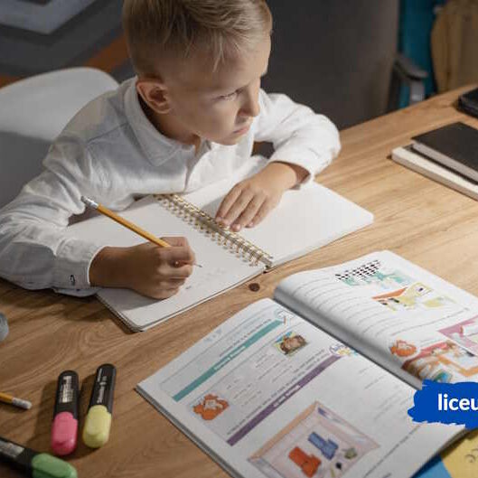 Вчителям на замітку проводимо уроки онлайн по всім правилам - Liceum