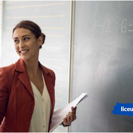 Що таке успішний вчитель за новітніми сучасними стандартами - Liceum