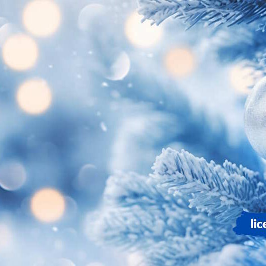 Зимові канікули в Ліцеї все нове – це добре забуте старе - Liceum