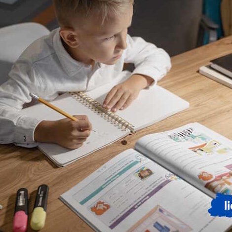 Учителям на заметку проводим уроки онлайн по правилам — Liceum Учителям на заметку проводим уроки онлайн по правилам - Liceum